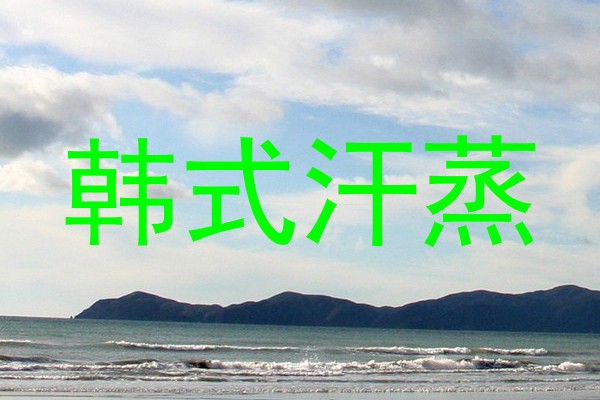 韩式汗蒸