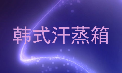 韩式汗蒸箱