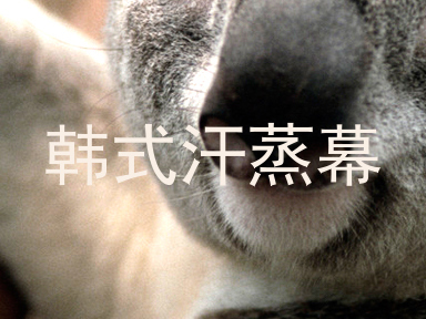 韩式汗蒸幕