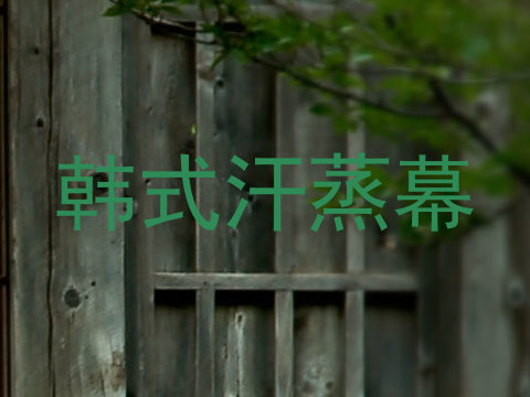 韩式汗蒸幕