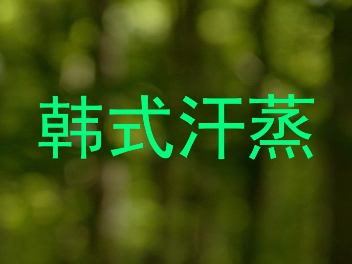 韩式汗蒸