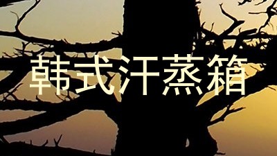 韩式汗蒸箱