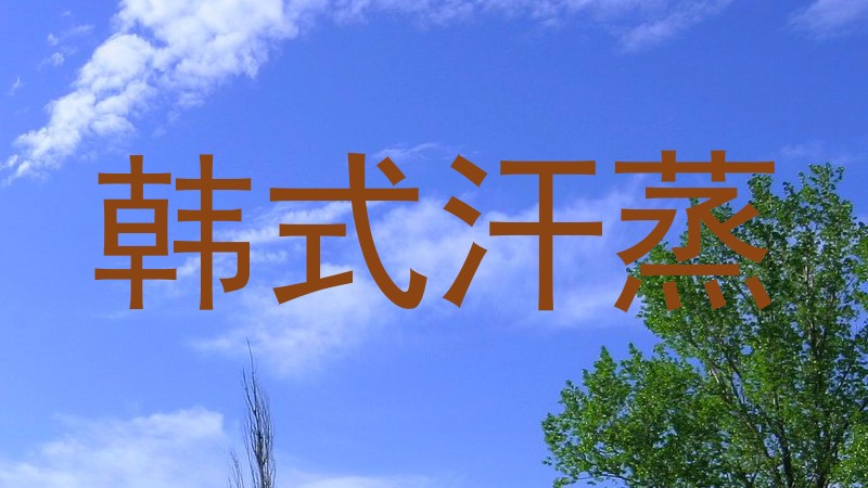韩式汗蒸