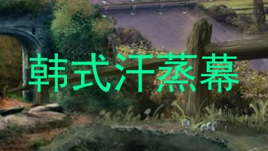 韩式汗蒸幕