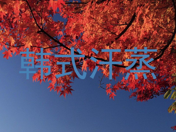 韩式汗蒸