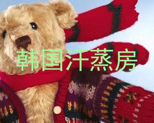 韩国汗蒸房