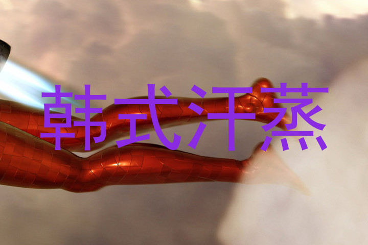 韩式汗蒸