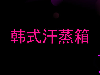 韩式汗蒸箱