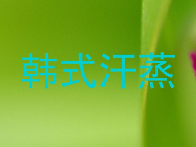 韩式汗蒸