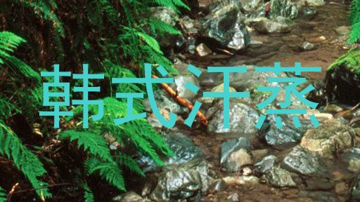 韩式汗蒸