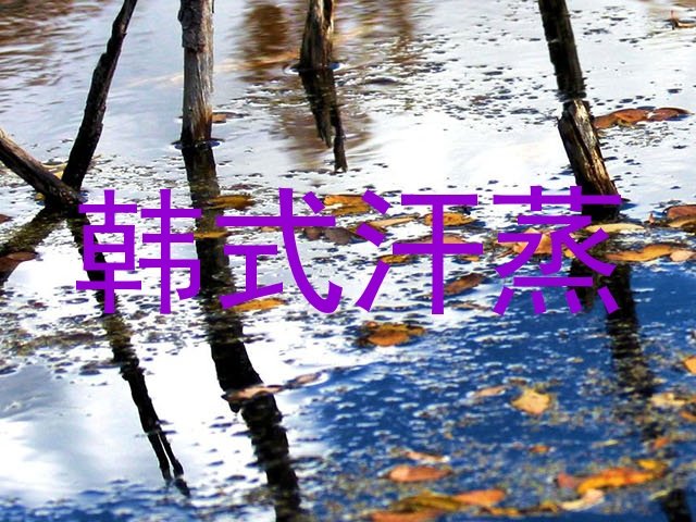 韩式汗蒸