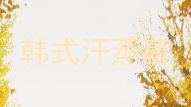 韩式汗蒸幕