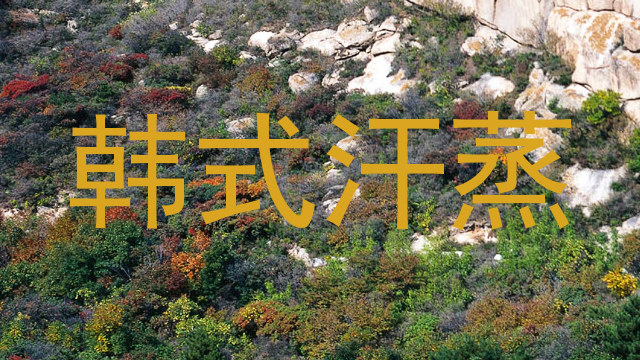 韩式汗蒸