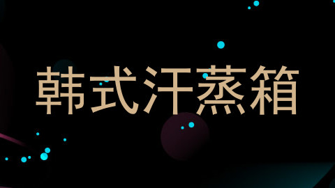 韩式汗蒸箱