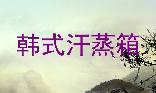 韩式汗蒸箱
