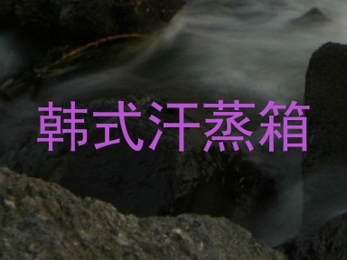 韩式汗蒸箱