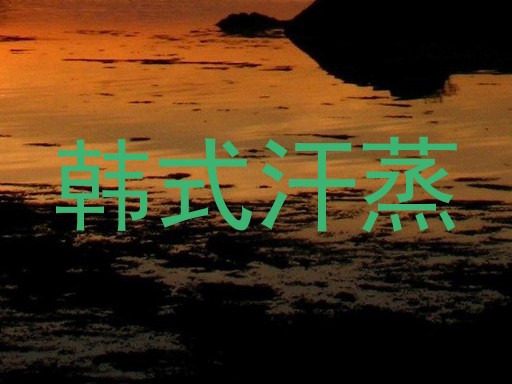韩式汗蒸