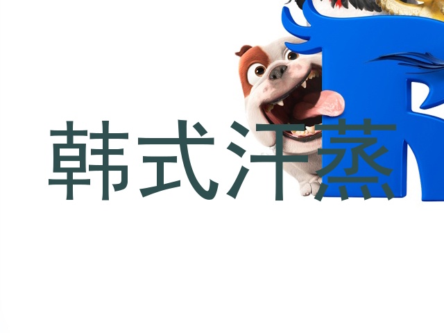 韩式汗蒸