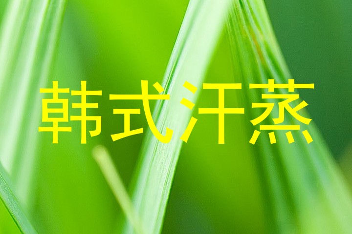 韩式汗蒸