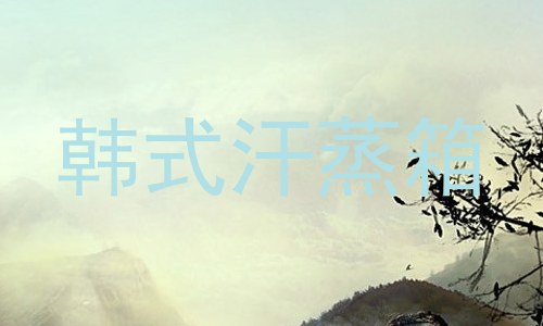 韩式汗蒸箱
