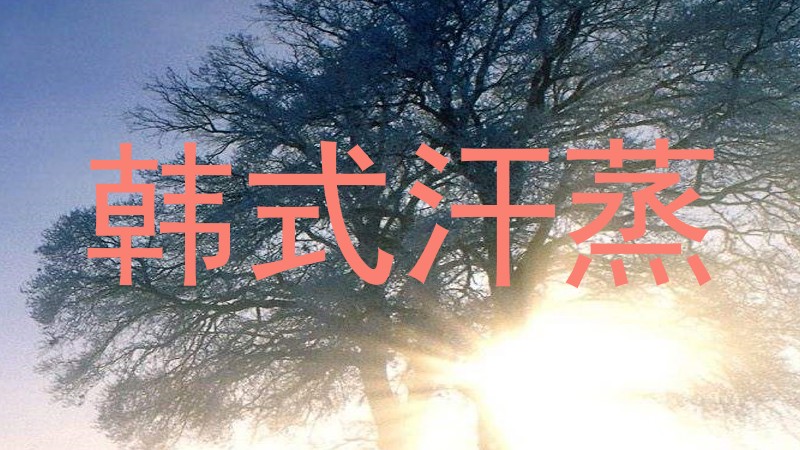 韩式汗蒸