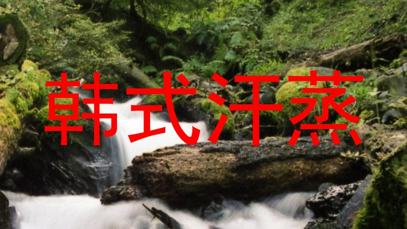 韩式汗蒸