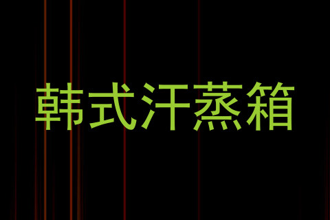 韩式汗蒸箱