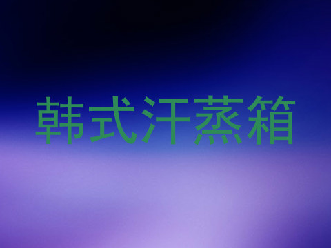 韩式汗蒸箱