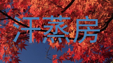 汗蒸房
