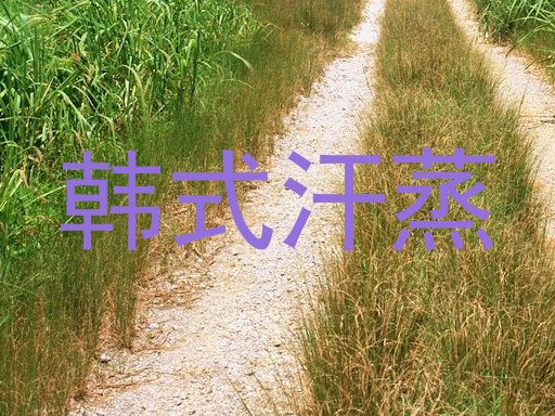 韩式汗蒸