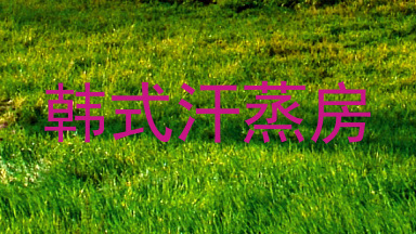 韩式汗蒸房