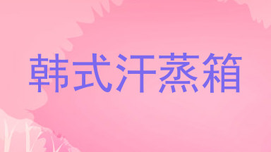 韩式汗蒸箱