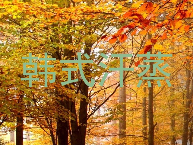 韩式汗蒸