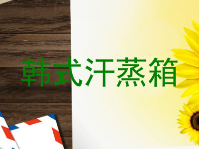 韩式汗蒸箱