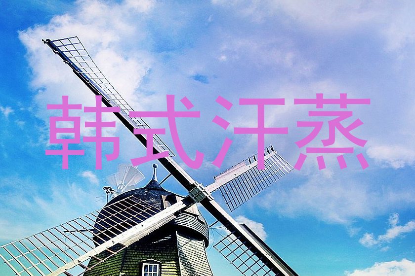 韩式汗蒸