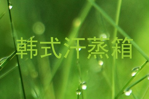 韩式汗蒸箱