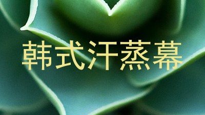 韩式汗蒸幕