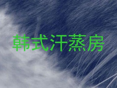 韩式汗蒸房