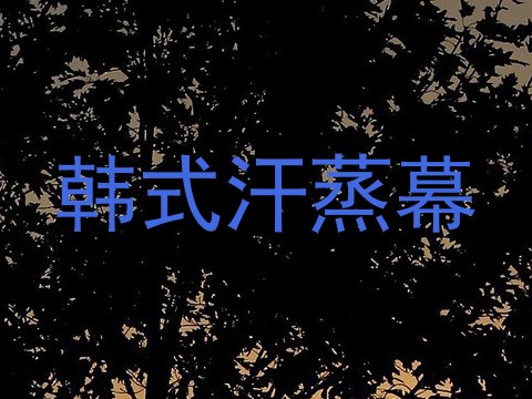 韩式汗蒸幕