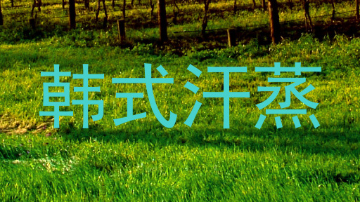 韩式汗蒸