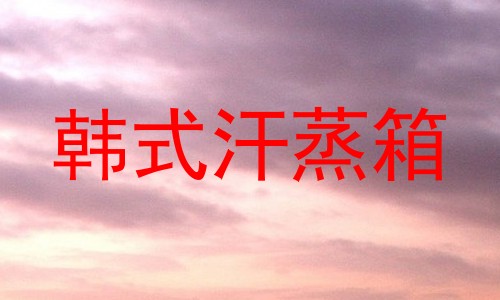韩式汗蒸箱