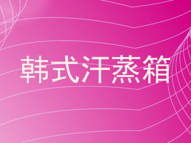 韩式汗蒸箱