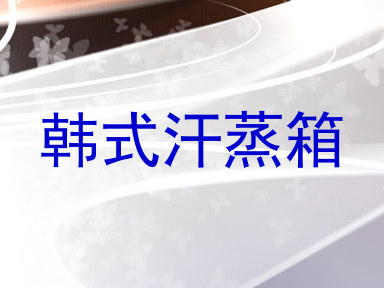 韩式汗蒸箱