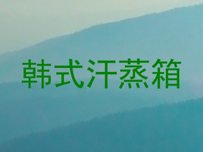 韩式汗蒸箱
