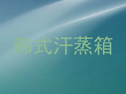 韩式汗蒸箱