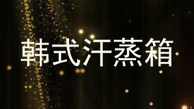 韩式汗蒸箱