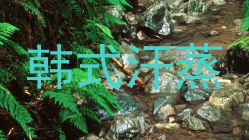 韩式汗蒸