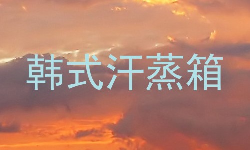 韩式汗蒸箱