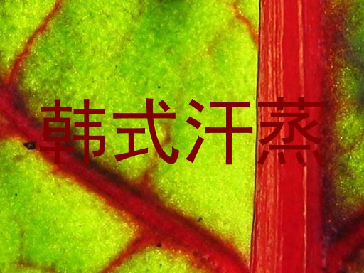 韩式汗蒸