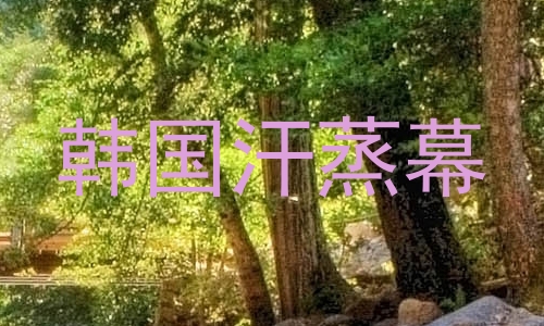 韩国汗蒸幕